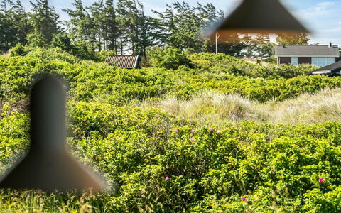 Sigrid - 400M from the Sea: Grün, Vegetation, Strauch, Pflanzengemeinschaft, Grundstueck, Ground, Shrubland, Garten, Plantage