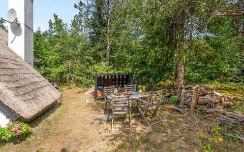 Olaf - 1.4Km from the Sea: Vegetation, Strauch, Grundstueck, Hütte, Ländliches Gebiet, Garten, Dachdecken, Schatten, Hinterhof, Dorf
