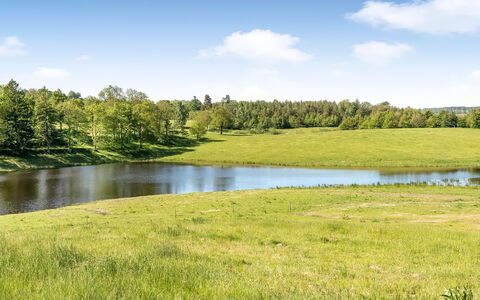 Elisabetha - 16Km from the Sea: Himmel, Blau, Grün, Gras, Natürlichen Umgebung, Natürliche Landschaft, Wiese, Wolke, Sommer, Einfach