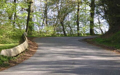 Elisabetha - 16Km from the Sea: Blatt, Gras, Ast, Baum, Strassenbelag, Natur, Strasse, Holz, Asphalt