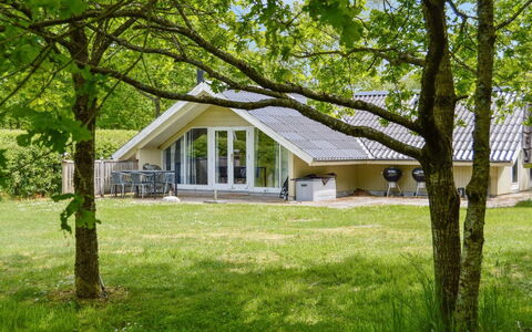 Hailka: Gras, Zuhause, Hütte, Estate, Rasen, Bauernhaus, Garten, Schatten, Wiese, Landscaping