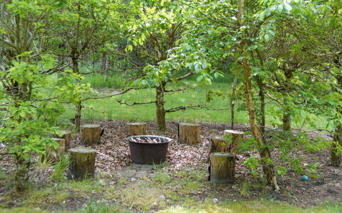 Hailka: Blatt, Ast, Pflanzengemeinschaft, Kofferraum, Gehölz, Garten, Wald, Boden, Hinterhof