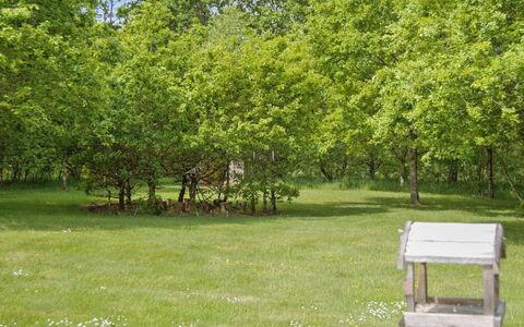 Hailka: Blatt, Baum, Grün, Natürlichen Umgebung, Gras, Ast, Vegetation, Strauch, Wiese, Pflanzengemeinschaft