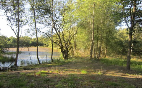 Wilmer - 40Km from the Sea: Dach, Zuhause, Tür, Hütte, Schatten, Abstellgleis, Garten, Estate, Hinterhof