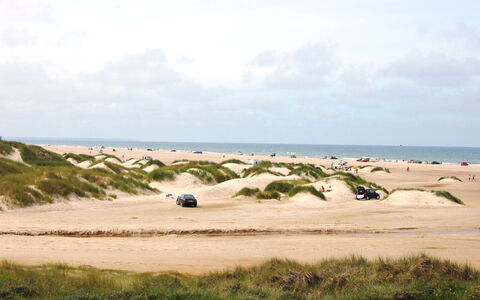Rauli - 50M from the Sea: Himmel, Ökoregion, Wolke, Sand, Kumulus, Strand