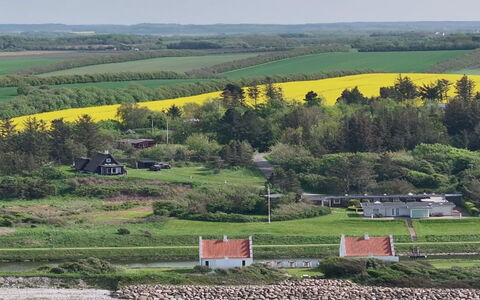 Aranja - 300M to the Fjord: Grün, Gras, Landschaft, Ländliches Gebiet, Wiese, Haus, Grundstueck, Einfach, Feld