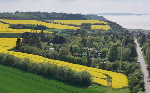Aranja - 300M to the Fjord: Grün, Natürliche Landschaft, Landschaft, Feld, Wiese, Einfach, Grundstueck, Plantage, Ländliches Gebiet, Landwirtschaft