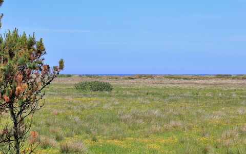 Annick - 300M from the Sea: Blau, Strauch, Hütte, Ground, Garten, Estate, Schatten, Landscaping, Bauernhaus, Eco Hotel
