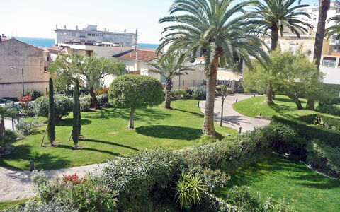 Riviera Park: Vegetation, Baum, Eigentum, Grün, Gras, Garten, Palme, Rasen, Wohngebiet, Botanik