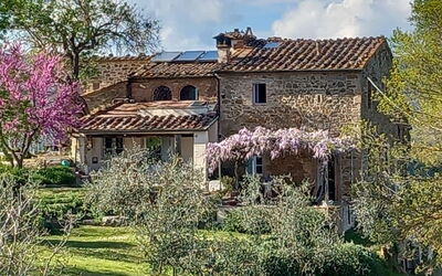 Podere Monteguidi: Blume, Pflanze, Himmel, Gebäude, Wolke, Fenster, Baum, Natürliche Landschaft, Haus, Gras