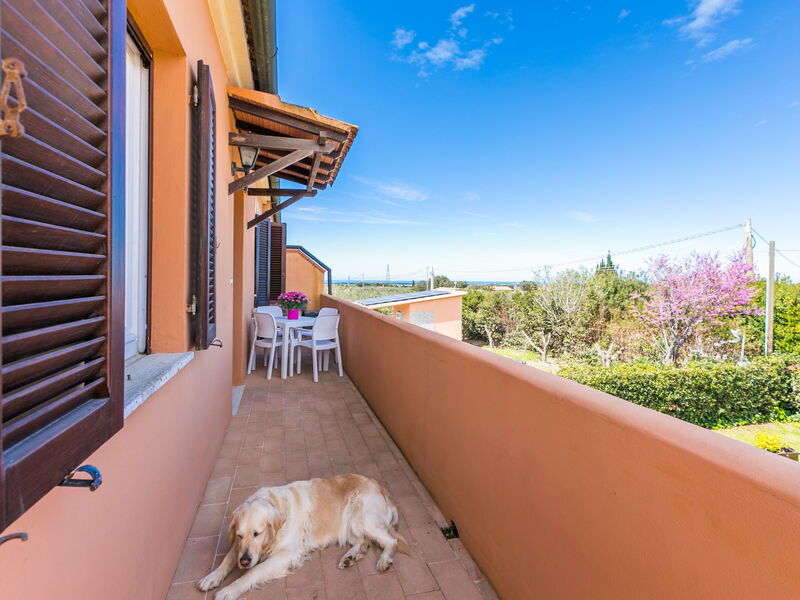 Unterkunft:&nbsp;La Casina 650.3