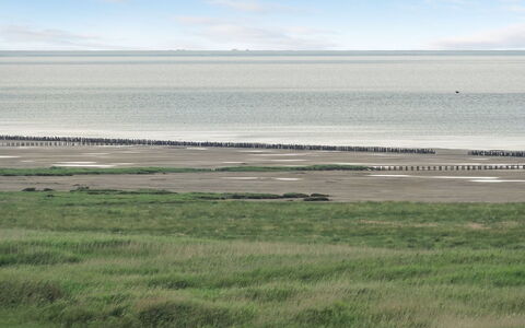 Stilla - 35Km from the Sea: Blau, Strauch, Hütte, Ground, Garten, Estate, Schatten, Landscaping, Bauernhaus, Eco Hotel