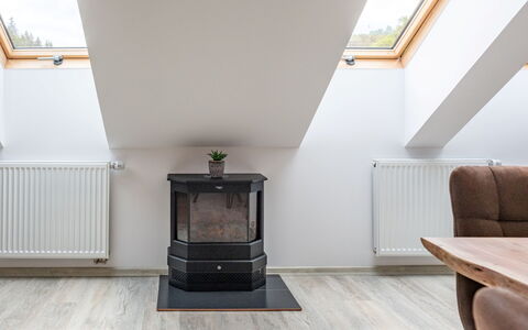 Unterkunft:&nbsp;Miner'S Lodge & Sauna 250.15