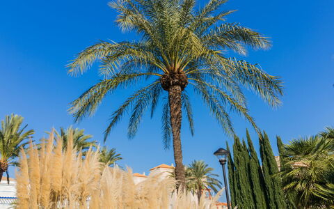 Cala Blanca Denia: Tabelle, Pflanze, Gebäude, Himmel, Wolke, Holz, Veranda, Schatten, Interior Design, Stuhl