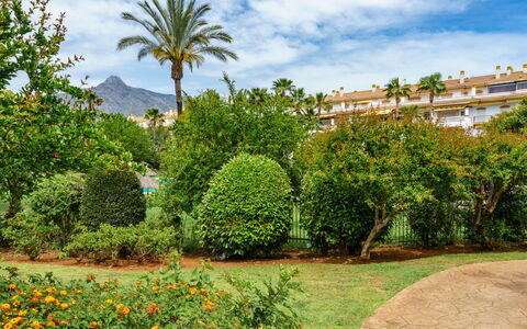 Dama de Noche: Blatt, Vegetation, Strauch, Garten, Gehölz, Landscaping, Botanischer Garten, Plantage, Hecke