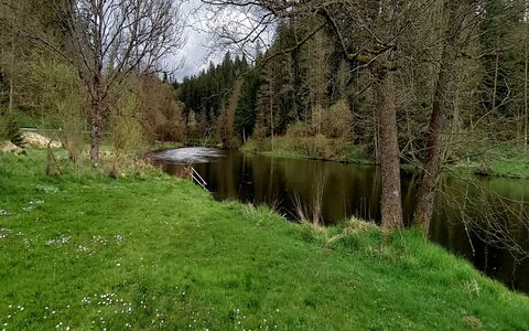 Reiter: Pflanze, Wasser, Natürliche Landschaft, Grundstueck, Baum, Wasserlauf, Gras, Bank, Auwald