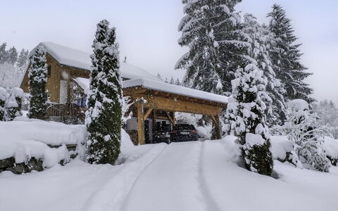 Reiter: Schnee, Baum, Winter, Ast, Haus, Zuhause, Hütte, Einfrieren, Geologisches Phänomen, Lärche