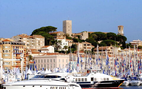 Cannes 535: Boot, Watercraft, Boote Und Boating - Geräte Und Materialien, Yachthafen, Wasserweg, Hafen, Kanal, Schiff, Meer, Schiffsbau