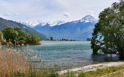 Casa Dascio: Wasser, Pflanze, Gebäude, Himmel, Daytime, Eigentum, Blau, Azurblau, Schwimmbad, Wolkenkratzer