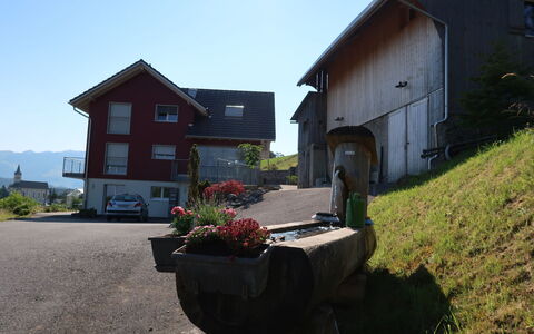 Luxenweid: Pflanze, Himmel, Fenster, Gebäude, Blumentopf, Haus, Grundstueck, Hütte, Wohngebiet, Gras