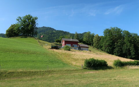 Luxenweid: Himmel, Pflanze, Baum, Natürliche Landschaft, Steigung, Wolke, Gras, Wiese, Haus, Berg