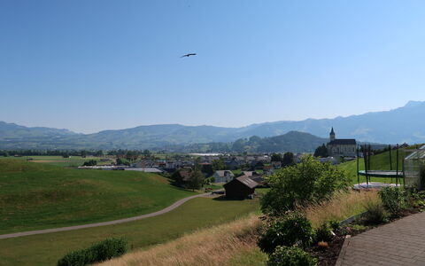 Luxenweid: Himmel, Pflanze, Ökoregion, Berg, Grundstueck, Hochland, Landschaft, Natürliche Landschaft, Baum, Gras