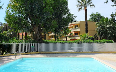 Les Eucalyptus: Schwimmbad, Eigentum, Grundeigentum, Wohngebiet, Haus, Freizeit, Gebäude, Zuhause, Baum, Resort