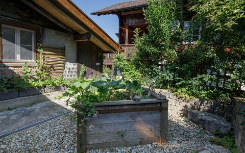 Brienzwiler 125: Strauch, Haus, Garten, Hütte, Ground, Hinterhof, Landscaping, Garten, Blumentopf
