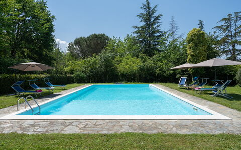 Villa Le Selve: Wasser, Pflanze, Schwimmbad, Himmel, Rechteck, Schatten, Baum, Gras, Freizeit, Grundeigentum