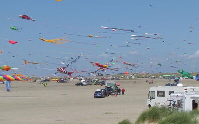 birta - 100m From The Sea In Western Jutland