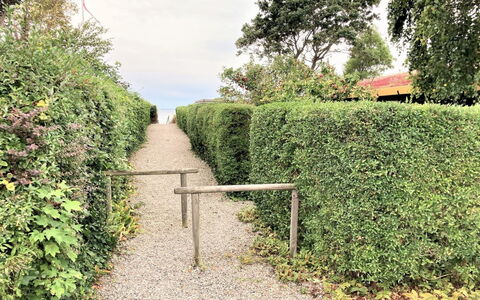 Maybrit - 50M from the Sea: Blau, Strauch, Hütte, Ground, Garten, Estate, Schatten, Landscaping, Bauernhaus, Eco Hotel