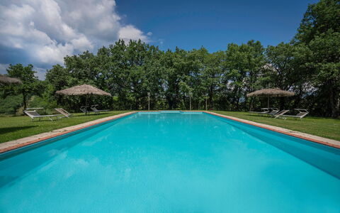 Belvedere - Falceto, Ambra, Toscana: Wasser, Wolke, Pflanze, Eigentum, Schwimmbad, Himmel, Azurblau, Baum, Schatten, Verbundwerkstoff