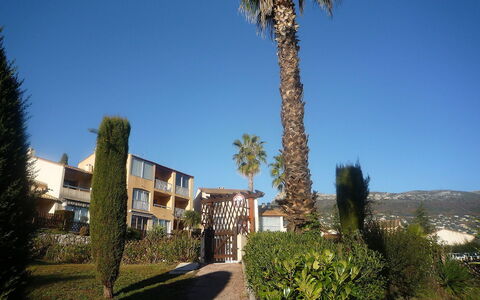 Le Jardin de Matisse: Himmel, Eigentum, Baum, Haus, Palme, Zuhause, Die Architektur, Gebäude, Grundeigentum, Wohngebiet