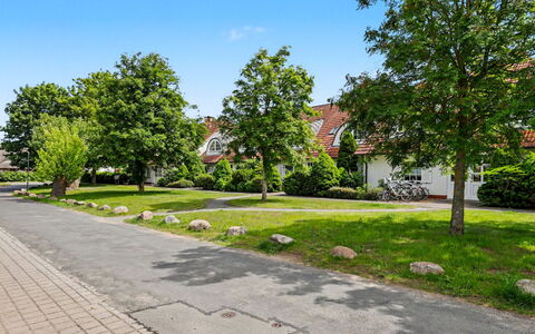 Zempin 160: Baum, Wohngebiet, Strassenbelag, Nachbarschaft, Strauch, Öffentlicher Raum, Zuhause, Bürgersteig, Menschliche Siedlung