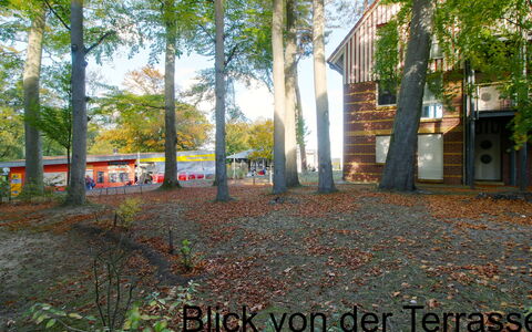 Jeschek: Pflanze, Baum, Ast, Gebäude, Grundstueck, Natürliche Landschaft, Laub, Gras, Strassenbelag, Schatten