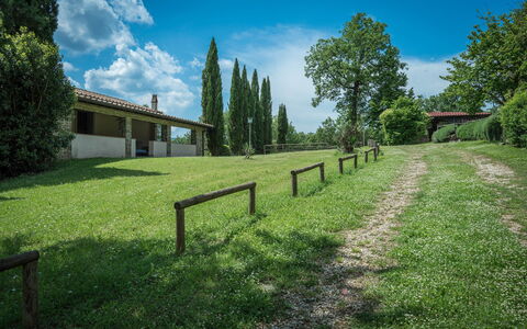 Borgo La Casina - Badia Agnano, Toscana: Wolke, Himmel, Pflanze, Eigentum, Natürliche Landschaft, Baum, Grundstueck, Sonnenlicht, Zaun, Landschaft