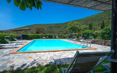 Colle Degli Ulivi - Cortona, Pool, Nature, Privacy: Wasser, Himmel, Pflanze, Eigentum, Schwimmbad, Azurblau, Stuhl, Schatten, Baum, Gebäude