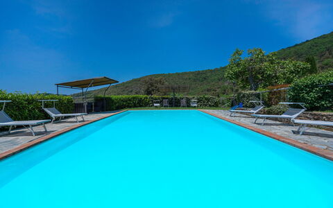 Colle Degli Ulivi - Cortona, Pool, Nature, Privacy: Wasser, Himmel, Pflanze, Schwimmbad, Azurblau, Rechteck, Gebäude, Schatten, Haus, Baum