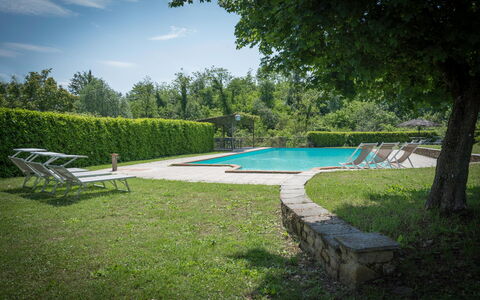 Fonte Nuova - Badia Agnano, Toscana: Wasser, Pflanze, Himmel, Schwimmbad, Azurblau, Baum, Schatten, Wolke, Gartenmöbel, Gras