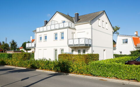 Rollmops: Himmel, Pflanze, Gebäude, Fenster, Haus, Grundstueck, Baum, Nachbarschaft, Asphalt, Wohngebiet