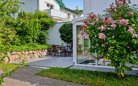 Usedomer Seekiste: Blume, Grün, Strauch, Garten, Rosa, Frühling, Garten, Landscaping, Schatten