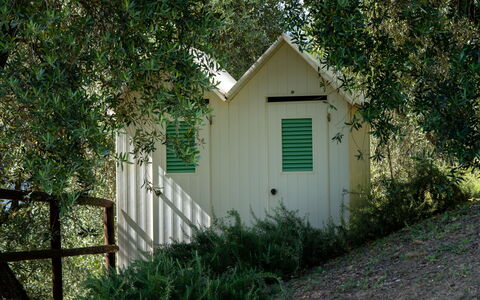 Luxury Green Marignana Villa, Versilia, Pool, Ac,: Pflanze, Natürlichen Umgebung, Holz, Gebäude, Baum, Tür, Gras, Gehölz, Natürliche Landschaft, Ländliches Gebiet