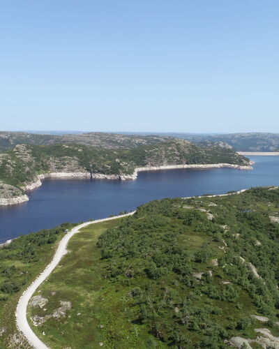 Bjørkstue