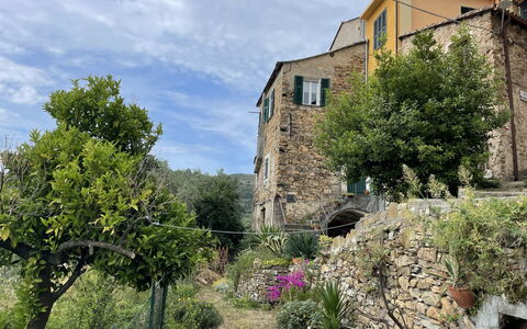 Casa Ferrando: Pflanze, Himmel, Wolke, Gebäude, Fenster, Pflanzengemeinschaft, Haus, Vegetation, Grundstueck, Baum