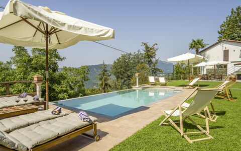 Casa Aurora - Recco, Liguria: Möbel, Pflanze, Himmel, Schwimmbad, Sonnenliege, Azurblau, Schatten, Gartenmöbel, Baum, Haus