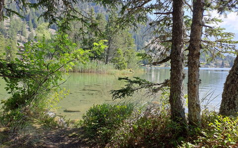 Champex 220: Wasser, Grün, Gewässer, Natur, Wasservorräte, Natürlichen Umgebung, Natürliche Landschaft, Vegetation, Sommer, Bank