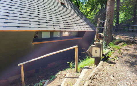 Bosco della Bella 6: Pflanze, Gebäude, Fenster, Baum, Holz, Gras, Schatten, Steigung, Haus, Tönungen Und Schatten