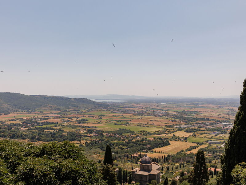 Panoramic view