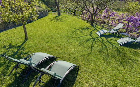 La Casa Dei Glicini - Levanto: Pflanze, Pflanzengemeinschaft, Kraftfahrzeug, Natürliche Landschaft, Rad, Baum, Grundstueck, Gras, Strauch