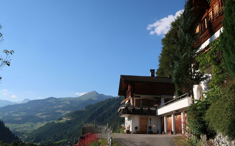 Chalet Bergnest: Blume, Pflanze, Pflanzengemeinschaft, Himmel, Botanik, Blütenblatt, Natur, Berg, Natürliche Landschaft, Vegetation